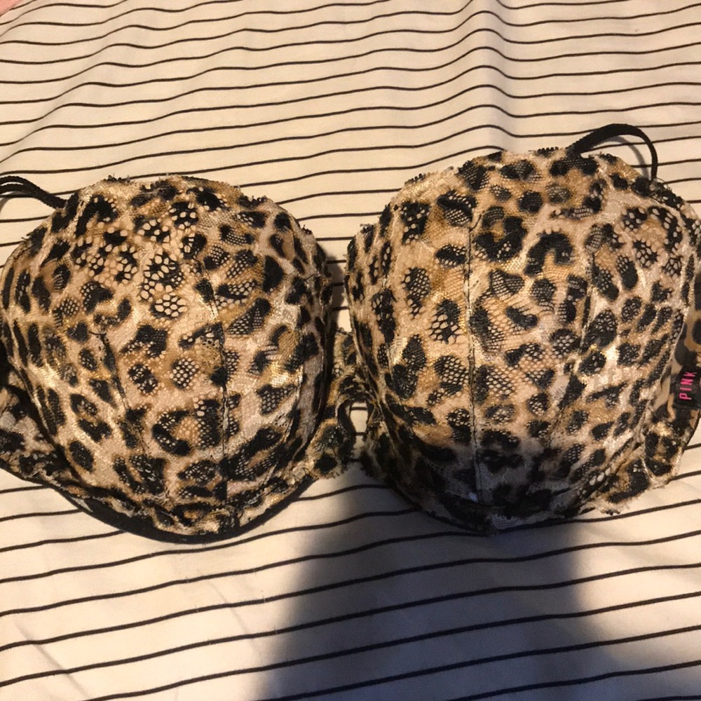 Sexy lace cheetah bra
